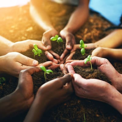 Estilo y Sostenibilidad: La Fusión Perfecta