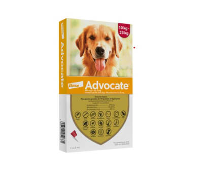ADVOCATE PERRO1