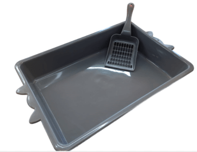 SET DE ARENERO OREJITAS1