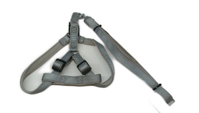 ARNES MAS CORREA DUO MAI