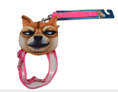 ARNES Y CORREA CON BOLSITO PERRO1