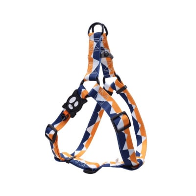 DOCO LOCO ARNES DRAGON