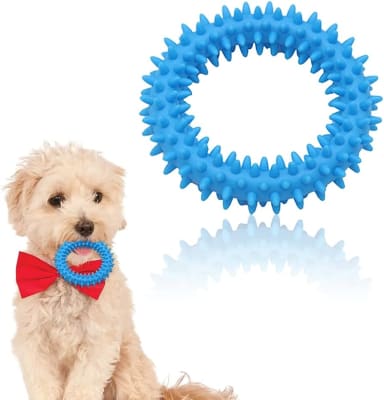 ARO DE GOMA CON PUAS3