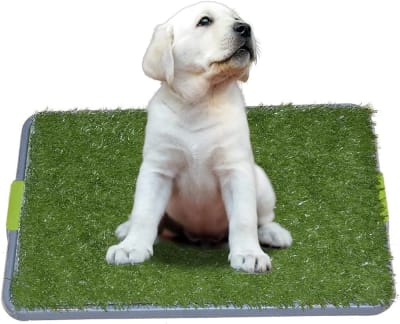 PUPPY POTTY PAD1