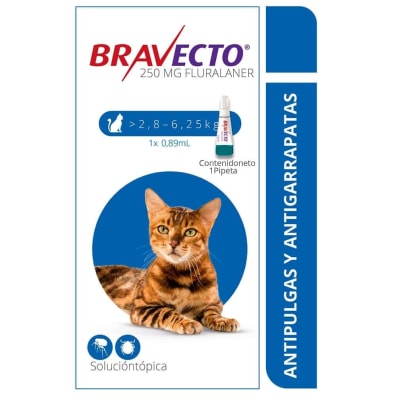 MG BRAVECTO GATO