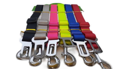 CINTURON DE SEGURIDAD