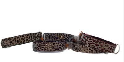 COLLAR ANIMAL PRINT