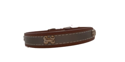 COLLAR HUESITOS REFLECTANTE1