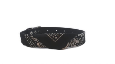 COLLAR CON PAÑUELO2