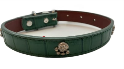 COLLAR CUERINA TACHAS PATITA