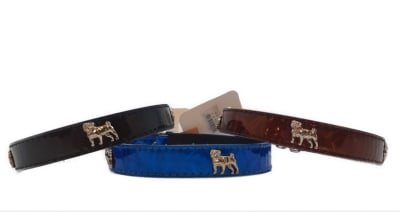 COLLAR HOLOGRAFICO PLACA PERRO