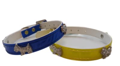 COLLAR INSIGNIA PERRO1