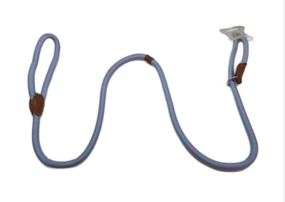 CORREA CORDEAL Y FUNCION COLLAR