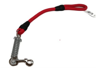 CORREA ADIESTRAMIENTO1