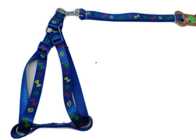 ARNES CON CORREA EL DANDI