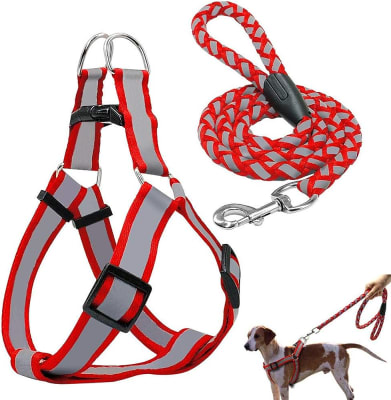 CORREA Y ARNES REFLECTANTE TRENZADO1