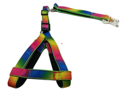 ARNES CORREA ARCOIRIS