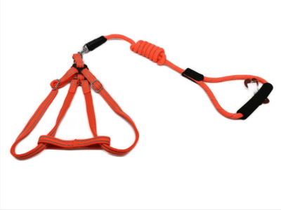 ARNES CON CORREA DELGADO CON MANGO DE ESPUMA