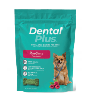 DENTAL PLUS1
