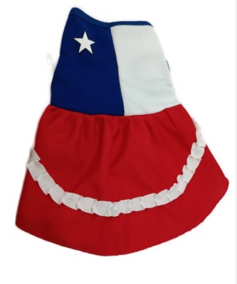 DISFRAZ TRAJE DE HUASO BANDERA