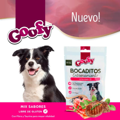 GOOFY BOCADITOS ENTRENAMIENTO