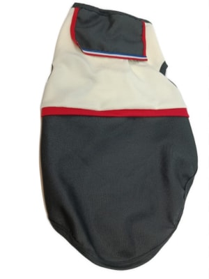 DISFRAZ DE HUASO COLORES1