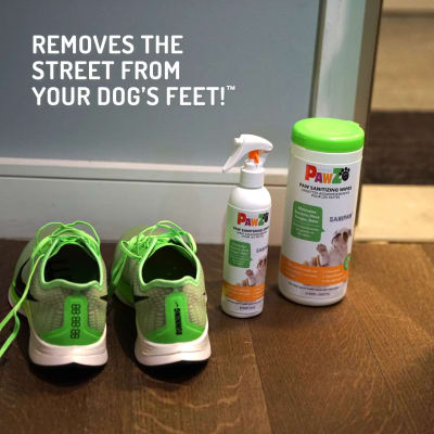 PAW SANITIZING SPRAY1