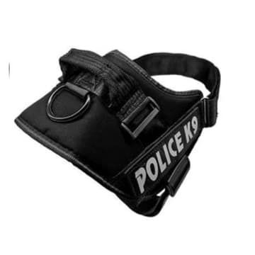 PECHERA POLICE