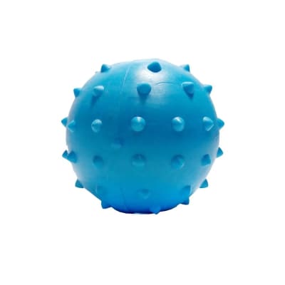 PELOTA PARA MORDER CON DISEÑO DE ANIMAL Y PUAS1