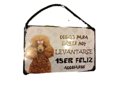 PATENTE PERRO Y FRASE