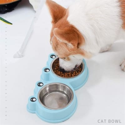 PLATO CON DOS RANITAS3