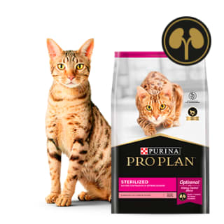 PROPLAN STERILIZED CAT