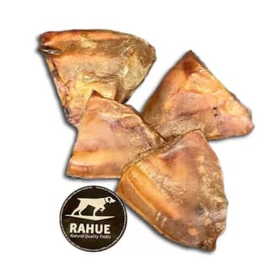 RAHUE OREJA DE CERDO