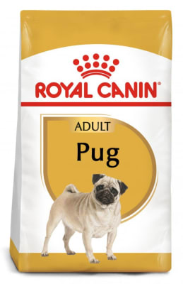 ROYAL CANIN PUG ADULTO