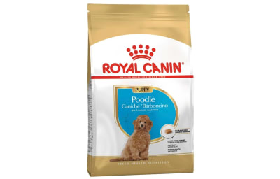 ROYAL CANIN POODLE PUPPY1