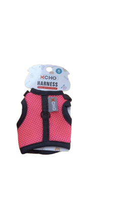 ARNES CONEJO Y GATO1