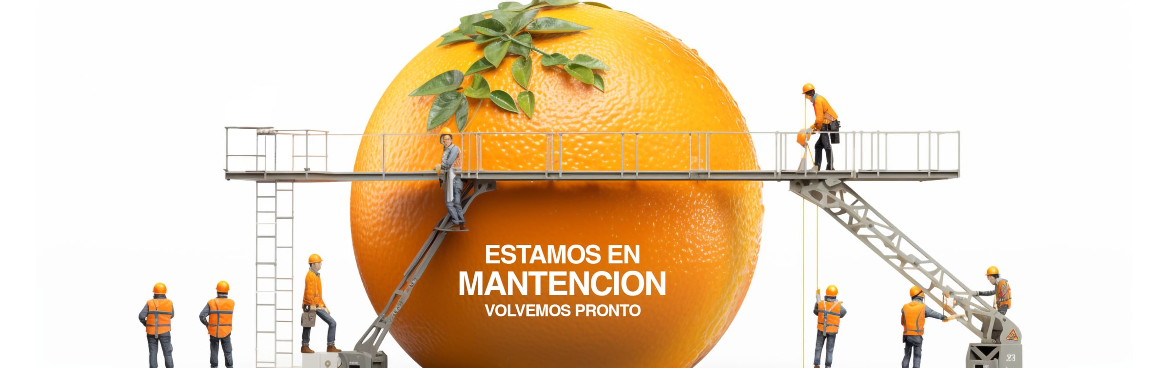 greengreen | Mercado Saludable Frutas y Verduras a Domicilio