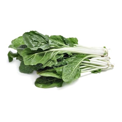 Acelga