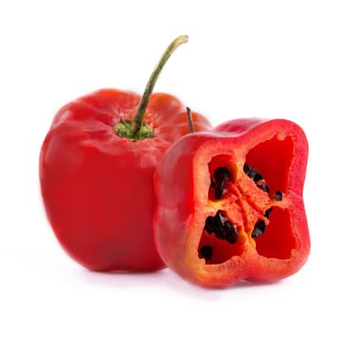 Aji Rocoto