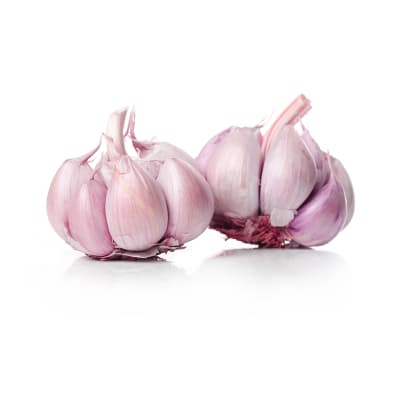 Ajo Chileno Rosado