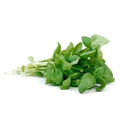 Albahaca