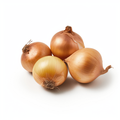 Cebolla