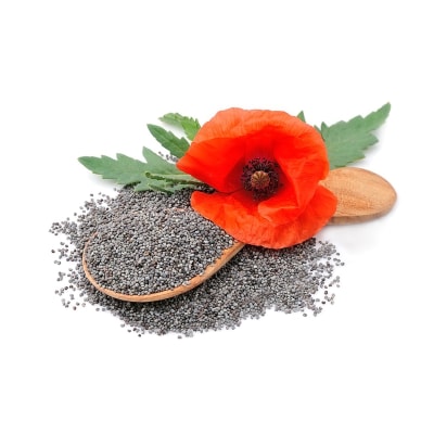 Amapola