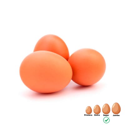 Huevos de Campo Color Super
