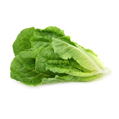 Lechuga Costina