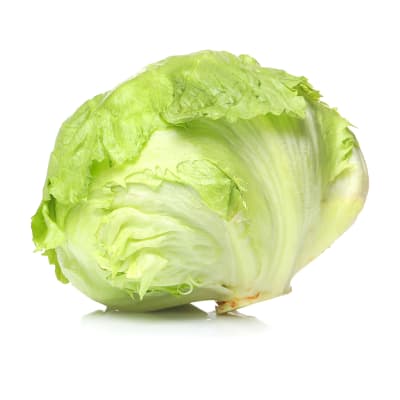 Lechuga Escarola