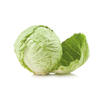 Repollo