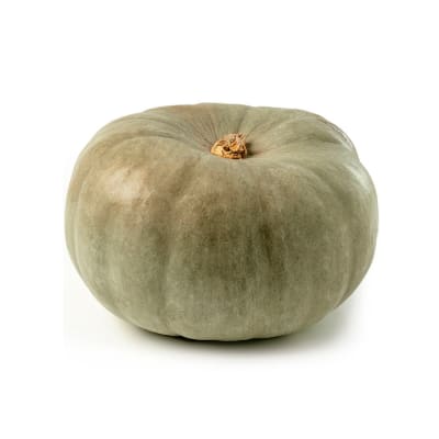 Zapallo Entero 5 a 6 kg