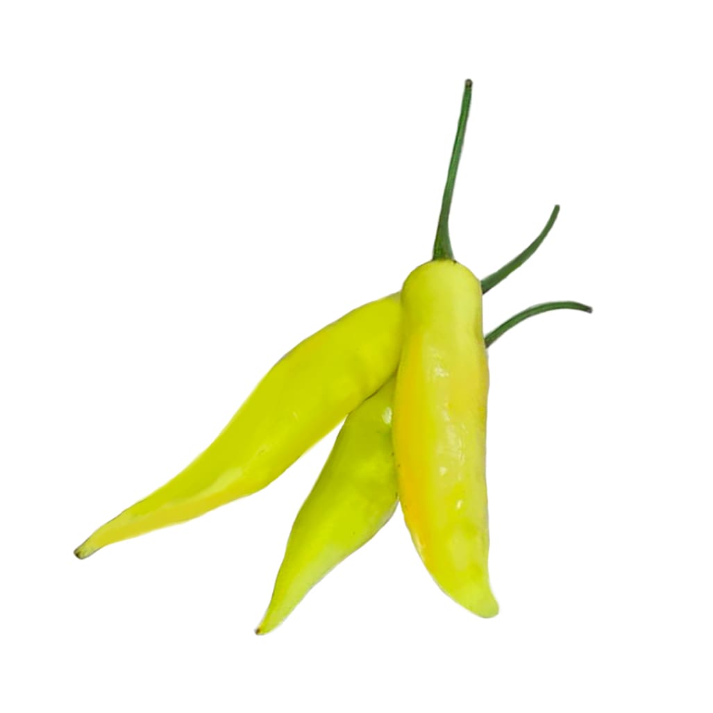 Aji Chileno Cristal1