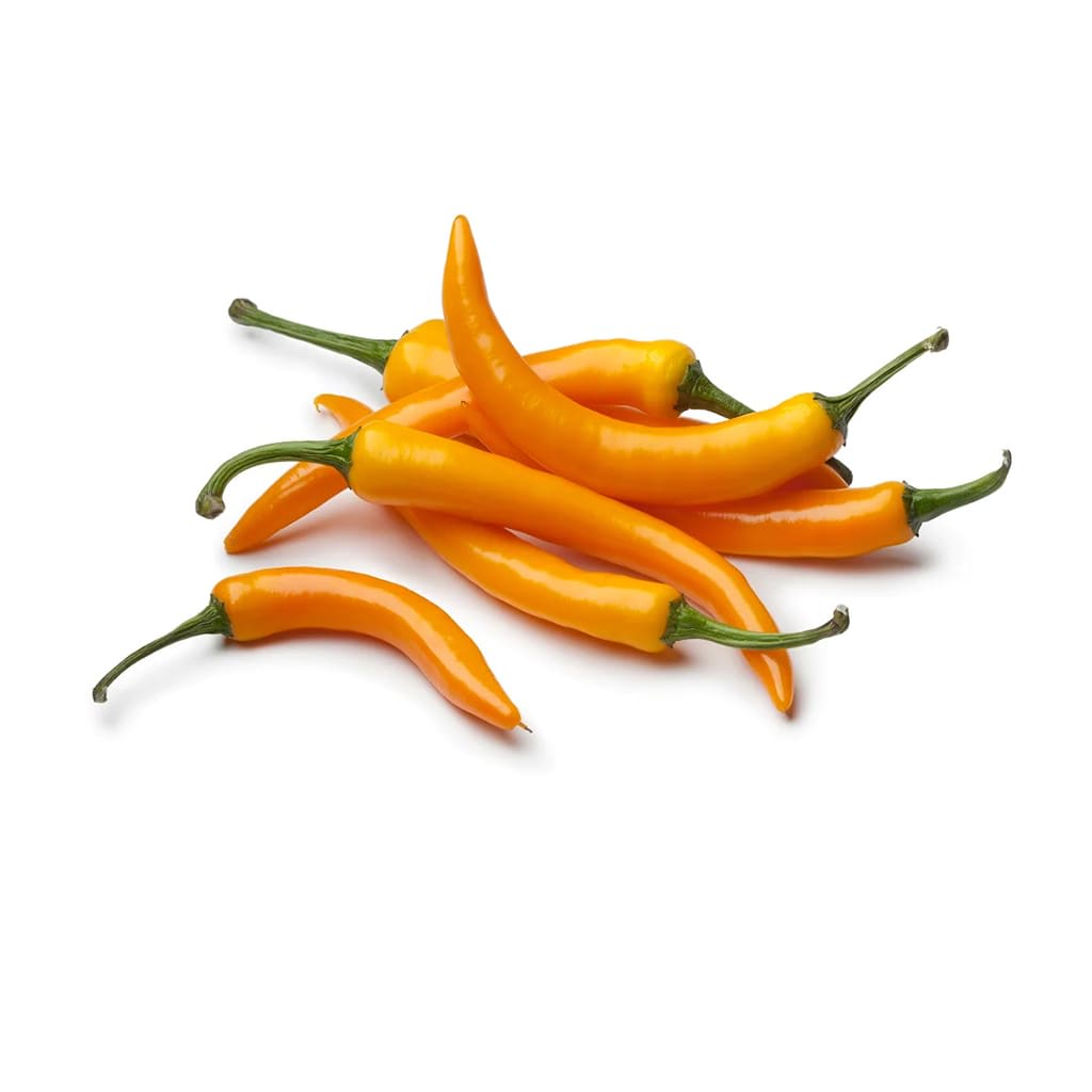 Aji Amarillo Peruano2